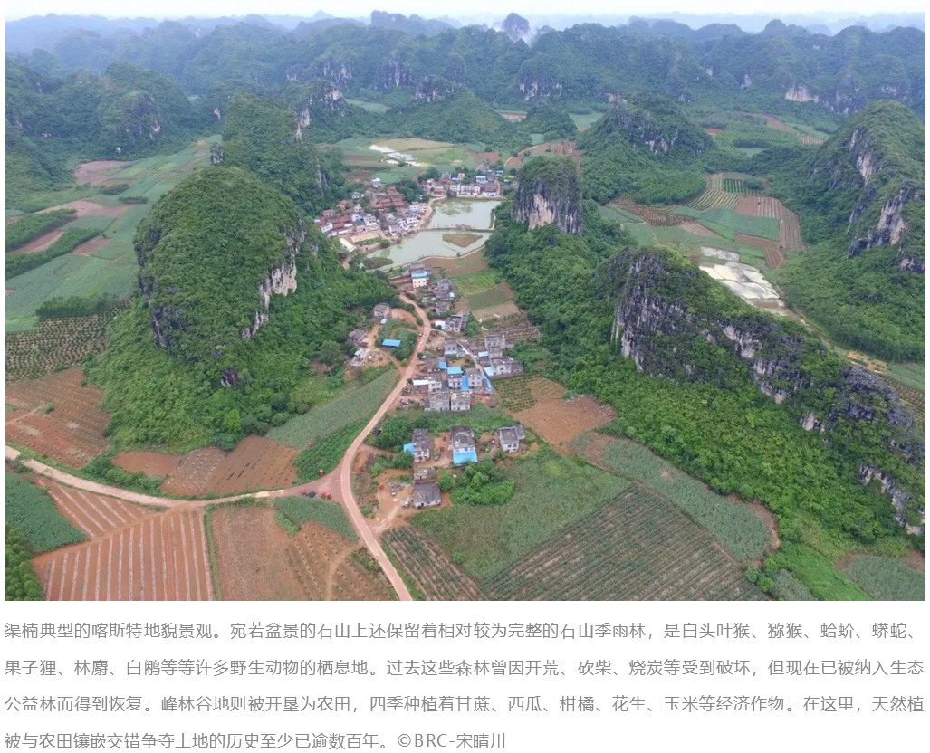 1微信截圖_20200527150915.png
