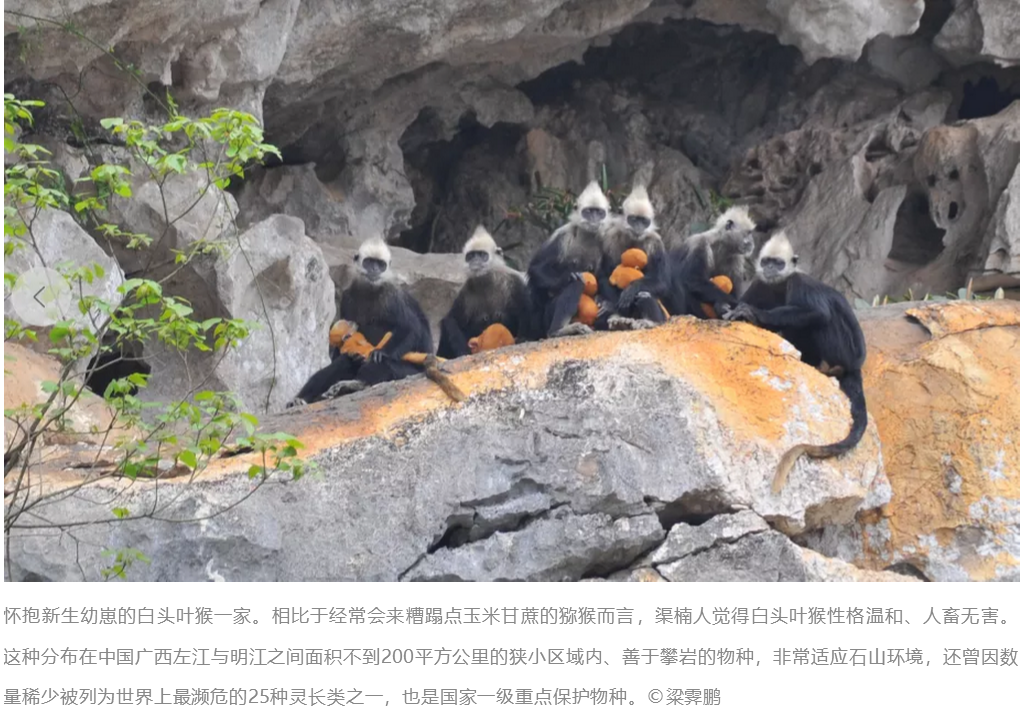 3信圖片_20200527151054.png