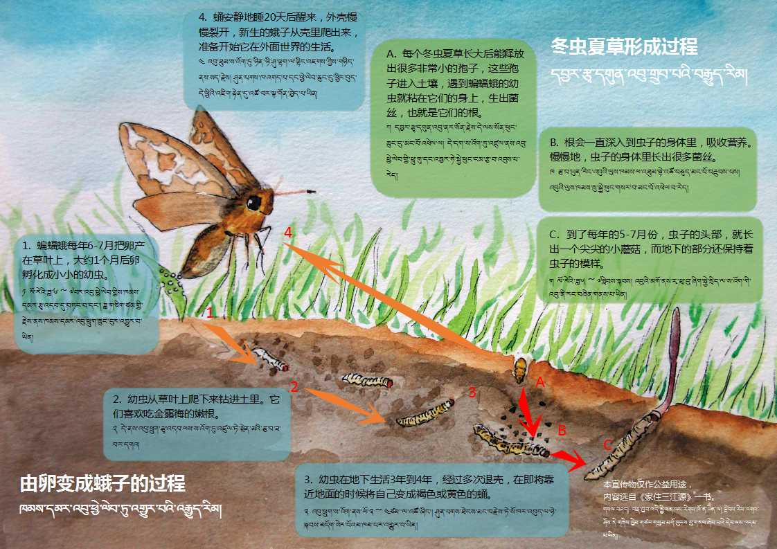 富群自然資源可持續(xù)利用宣傳冊(cè).jpg