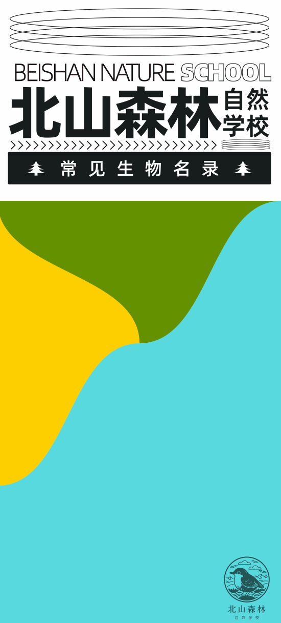封面圖-北山森林.png